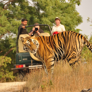 Ranthambhore