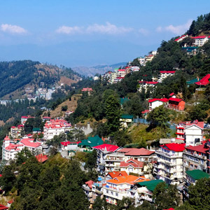 Shimla